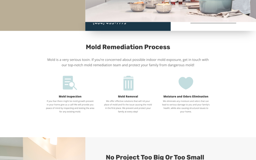 All Mold Solutions – WordPress website design for mold remediation company