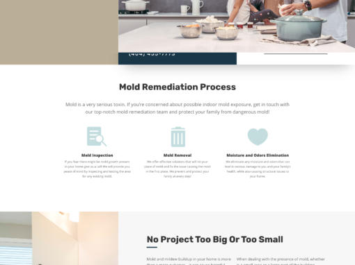 All Mold Solutions – WordPress website design for mold remediation company