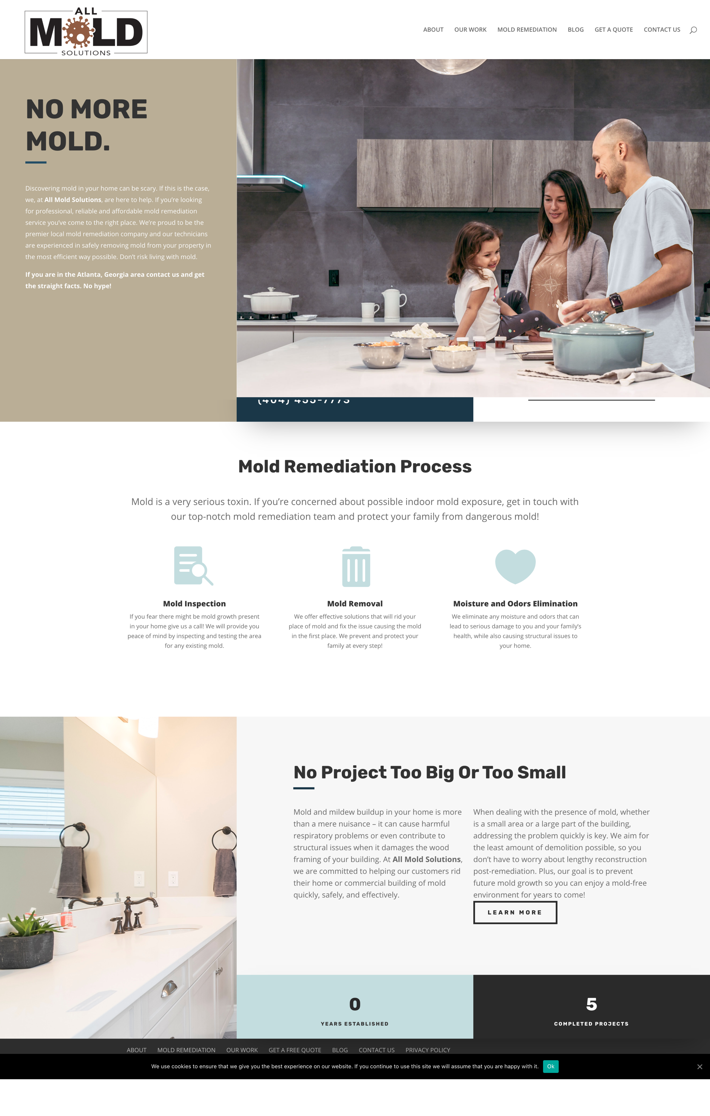 Wordpress website design for All Mold Solutions